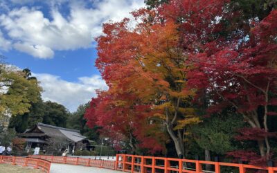 清々しい気持ち